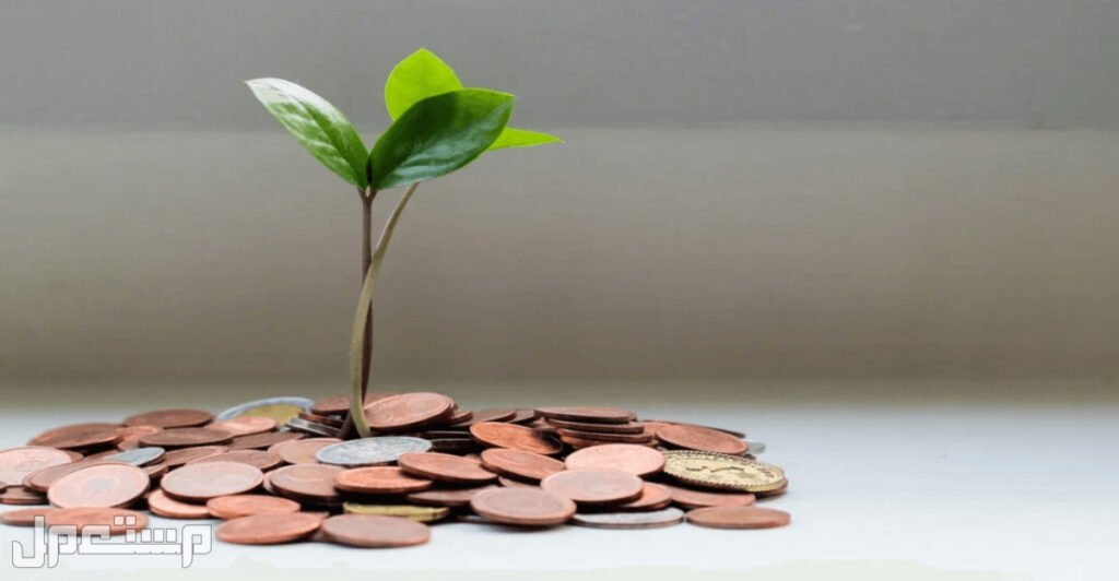 أفكار تسويق المنتجات